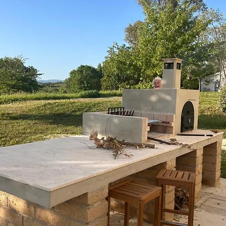 Maremma Design