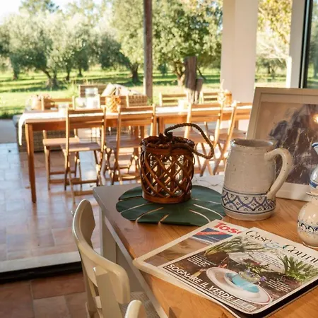 Maremma Design *