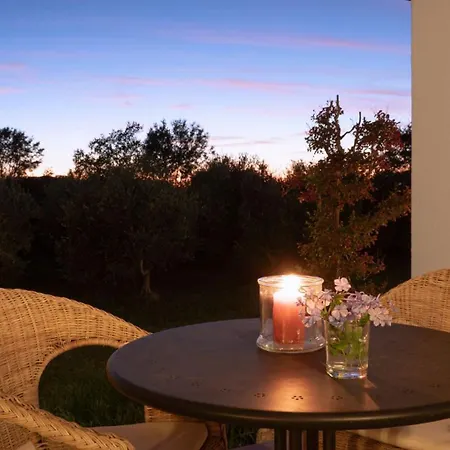 Maremma Design