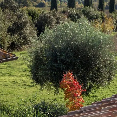 Maremma Design *