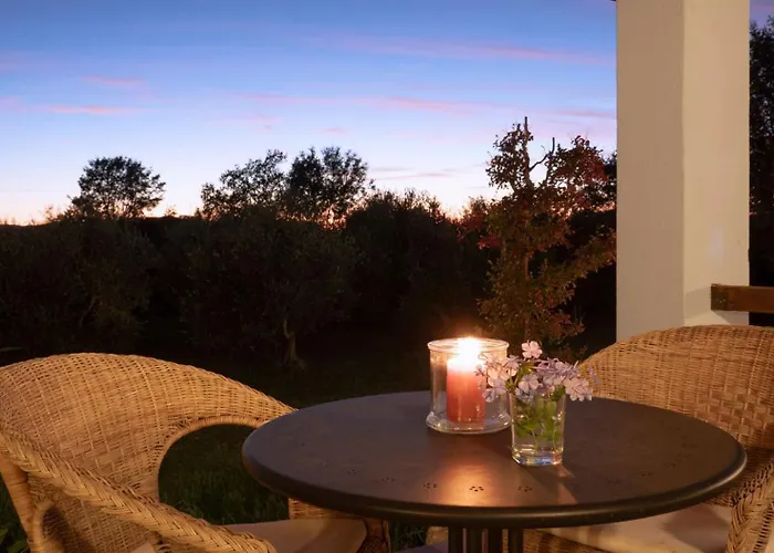 Maremma Design