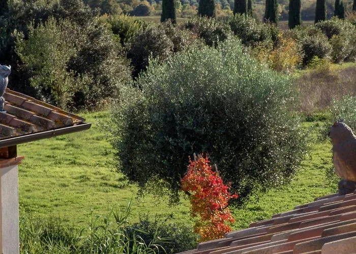 Maremma Design *